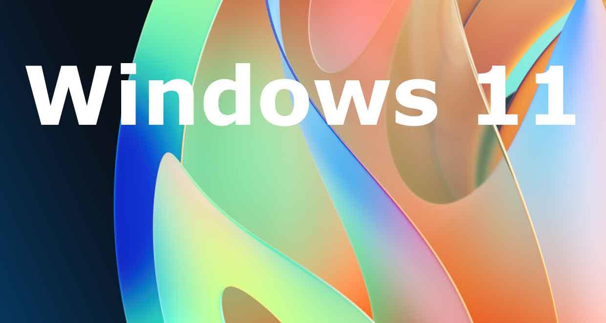 Windows 11 et KB 5063878: C Il y a des problèmes avec la conversation et le service -