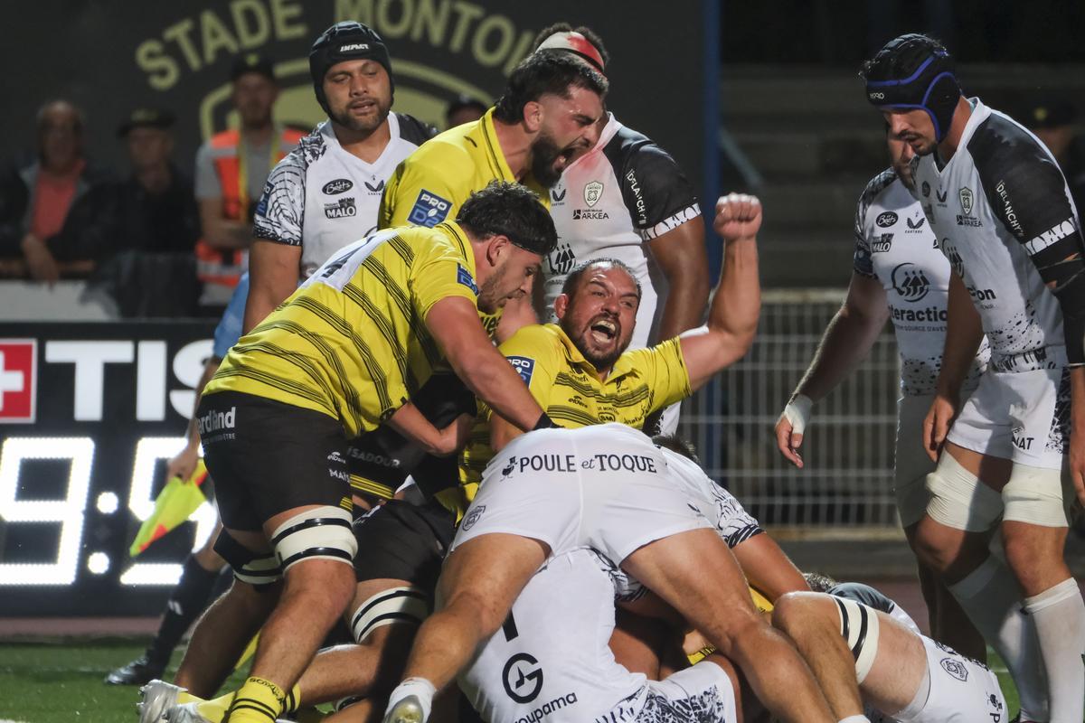 Stada Montois: Yellow and black gala, the first success of prestige and at the end of Vannes