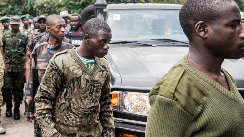 RDC : un groupe lance une campagne d'avis pour inciter les FDLR à déposer les ar...