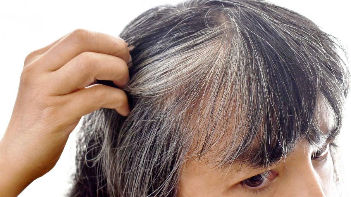 Bonne nouvelle : une étude japonaise suggère que les cheveux gris seraient une défense naturelle con...
