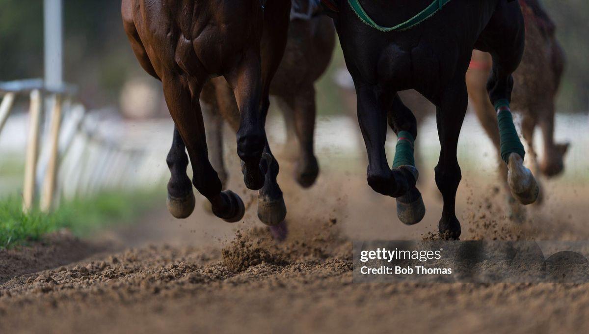 Quinté di Deauville Salasa 23 décembre : Hervé Fortin - Pronostics hippiques IEUH