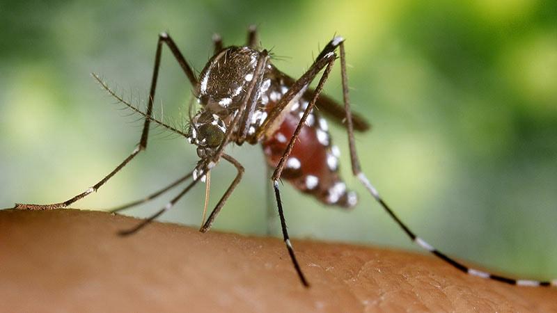 Virus du Nil occidental en France: anticipation du risque de transfusion