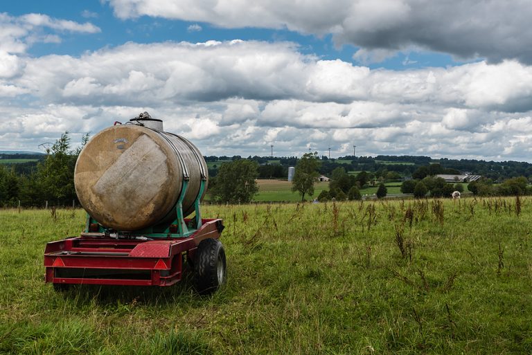 Des projets en Wallonie, en Belgique, pointent vers un avenir de la biomasse comme source d’énergie Des projets en Wallonie, en Belgique, pointent vers un avenir de la biomasse comme source d’énergie