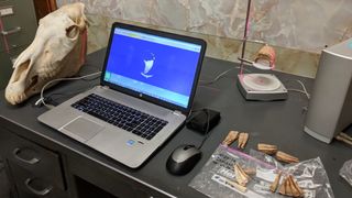 Les chercheurs effectuent un scan 3D d'un os de cheval vivant.