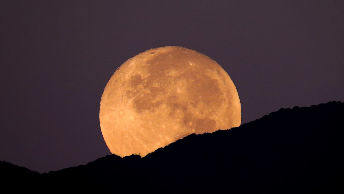 La dernière super lune de 2022 se lève le 11 août : regardez-la en direct en ligne La dernière super lune de 2022 se lève le 11 août : regardez-la en direct en ligne