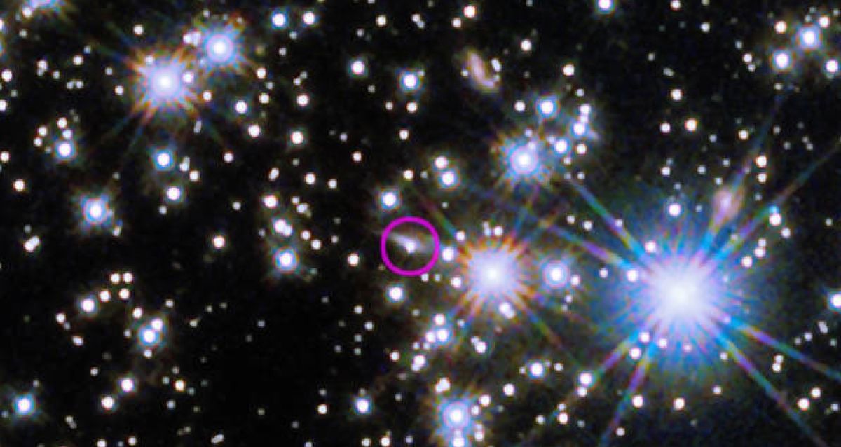 Les scientifiques disent que le sursaut gamma le plus brillant jamais vu est « extrêmement brutal » Les scientifiques disent que le sursaut gamma le plus brillant jamais vu est « extrêmement brutal »