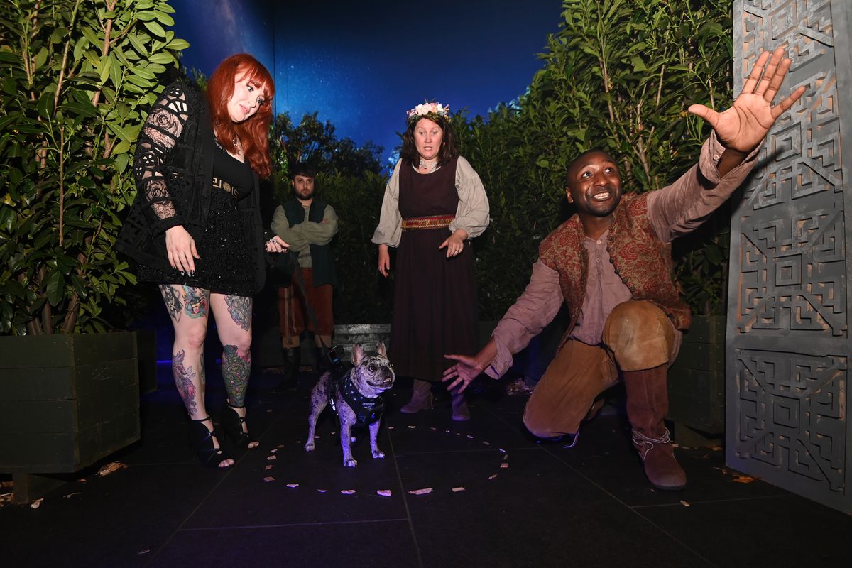 Rory le Frenchie de TikTok assiste à la première britannique de la saison 3 de The Witcher et est annoncé par un barde alors que son propriétaire roux regarde vers le bas