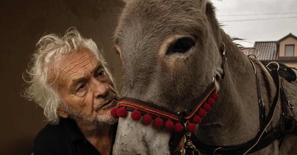 Le réalisateur d »EO’ espère que l’âne du film inspirera plus de respect pour les droits des animaux | Caractéristiques Le réalisateur d »EO’ espère que l’âne du film inspirera plus de respect pour les droits des animaux | Caractéristiques