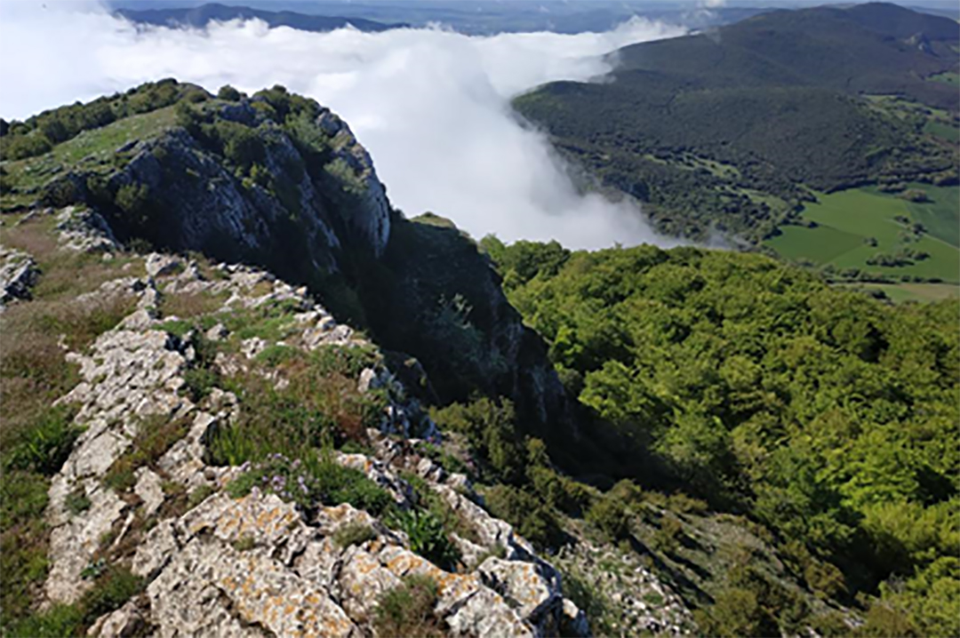 webinaire décrit les efforts pour lutter contre la pollution plastique dans les régions de montagne |  Nouvelles |  Centre de connaissances sur les ODD