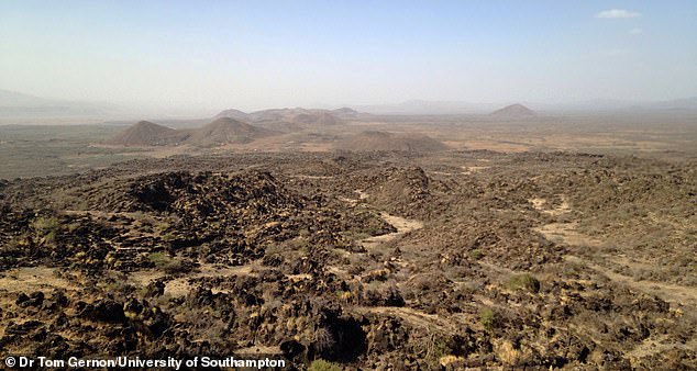 Les volcans se sont produits lorsque la région de l'Atlantique Nord était dans les dernières étapes du rift, ou de la désintégration, d'une manière similaire aux processus géologiques qui se produisent aujourd'hui dans le rift est-africain, illustré