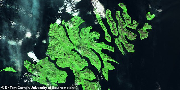 Une étude a révélé que « l’extension » des continents pendant 56 millions d’années a conduit au réchauffement climatique Une étude a révélé que « l’extension » des continents pendant 56 millions d’années a conduit au réchauffement climatique