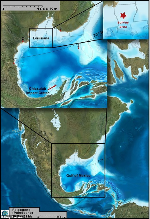 Une ligne tracée au sommet de ces ondulations est allée directement au cratère de Chicxulub à environ 1 000 miles de la zone étudiée par les chercheurs à l'aide de l'imagerie sismique.