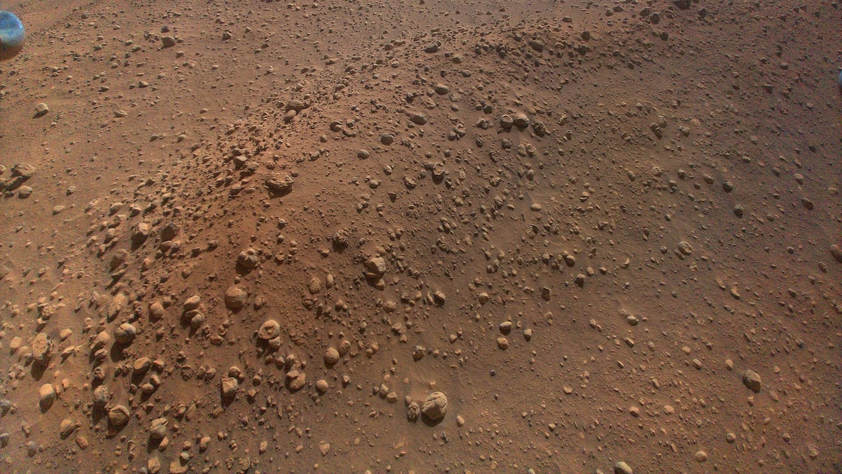 Un hélicoptère créatif sur Mars fantôme des scientifiques de la NASA Un hélicoptère créatif sur Mars fantôme des scientifiques de la NASA