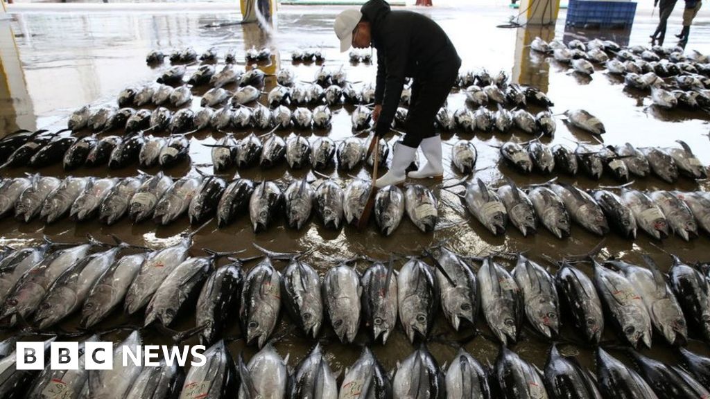 Fukushima: la Chine prolonge l’interdiction de certains aliments japonais sur le plan de rejet des eaux usées Fukushima: la Chine prolonge l’interdiction de certains aliments japonais sur le plan de rejet des eaux usées