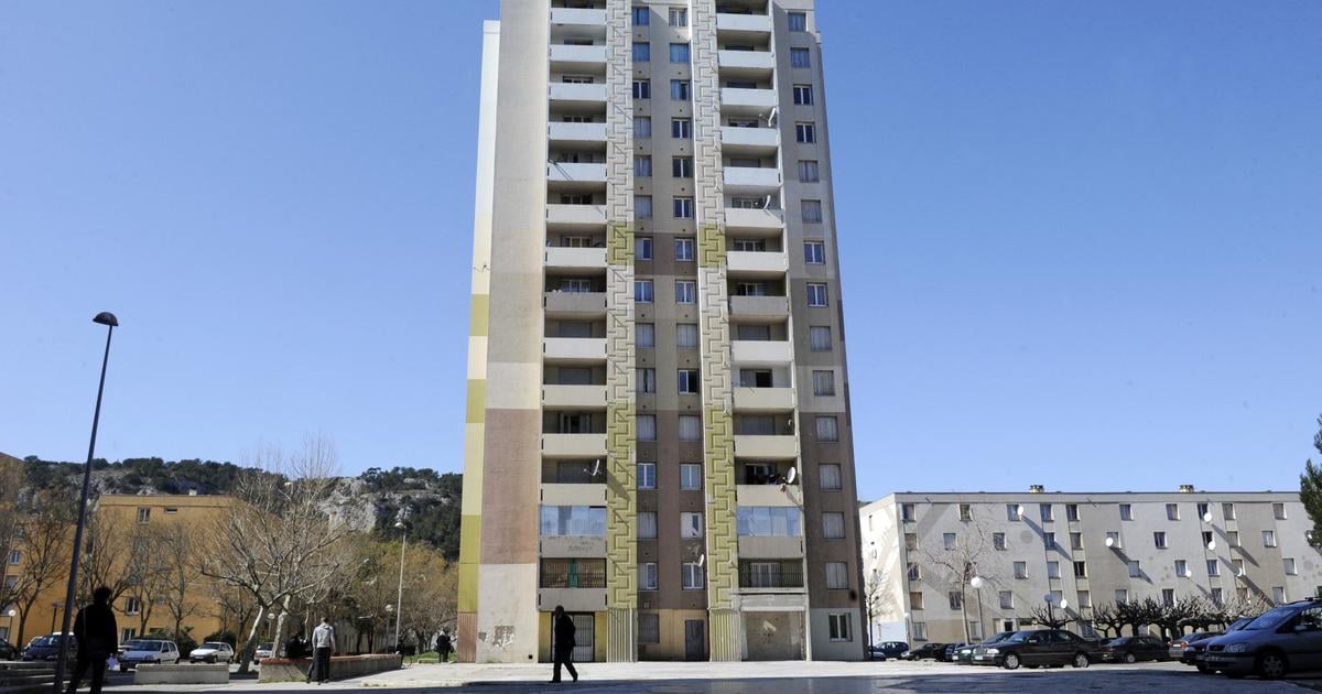 Chroniques du câble : quand les dealers divertissent les cités avec un château gonflable et un barbecue gratuit – Le Figaro
