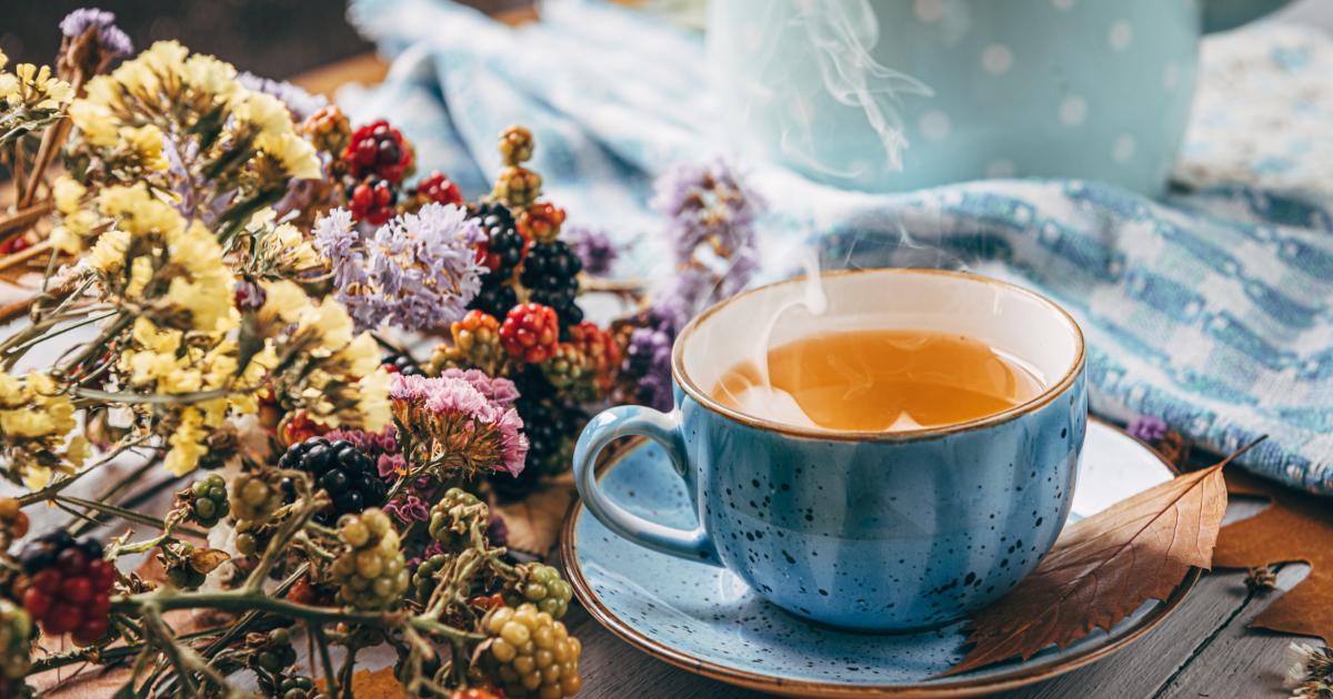 Excès des fêtes : ces 3 boissons sont idéales pour préserver votre foie selon un gastro-entérologue ! – Cable Chronicles Excès des fêtes : ces 3 boissons sont idéales pour préserver votre foie selon un gastro-entérologue ! – Cable Chronicles