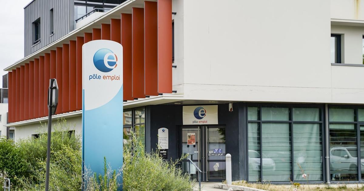 Chômage : les raisons pour lesquelles près de 2 millions de personnes ne sont pas incluses dans les statistiques officielles – Le Figaro Chômage : les raisons pour lesquelles près de 2 millions de personnes ne sont pas incluses dans les statistiques officielles – Le Figaro