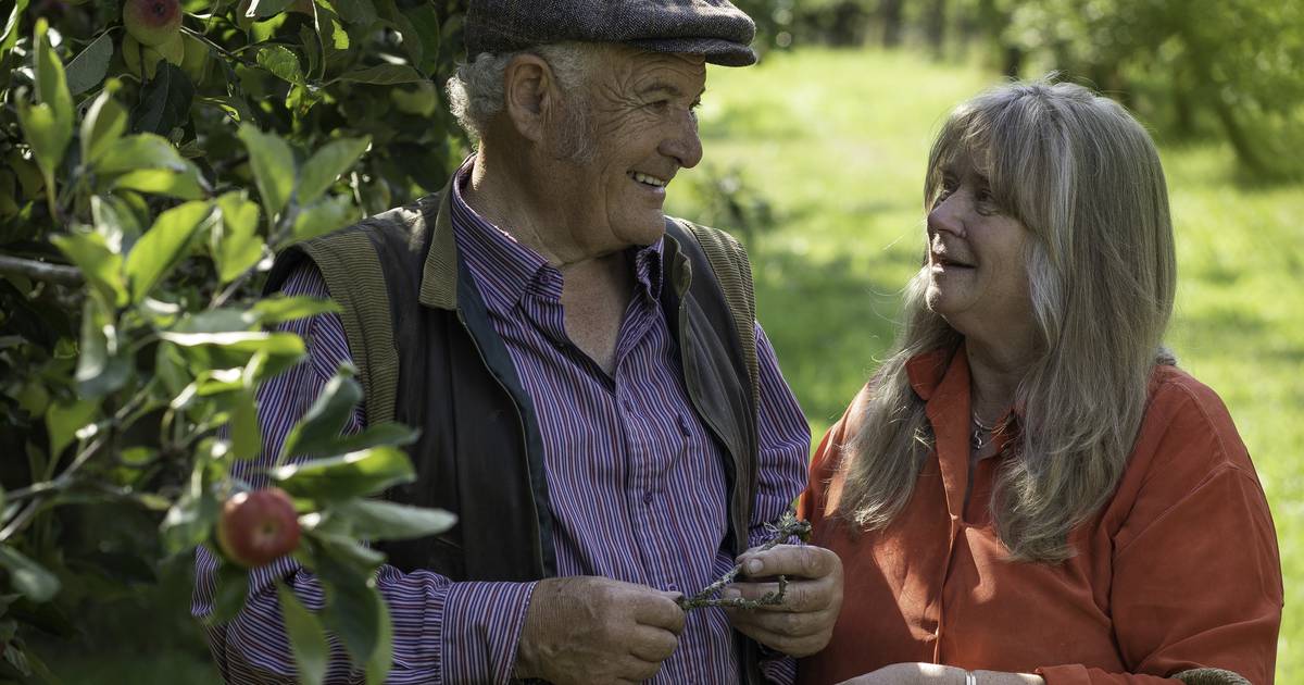 La France a du calvados. L’Irlande a désormais son propre excellent brandy de pomme, son rhum et son vin de glace – The Irish Times La France a du calvados. L’Irlande a désormais son propre excellent brandy de pomme, son rhum et son vin de glace – The Irish Times