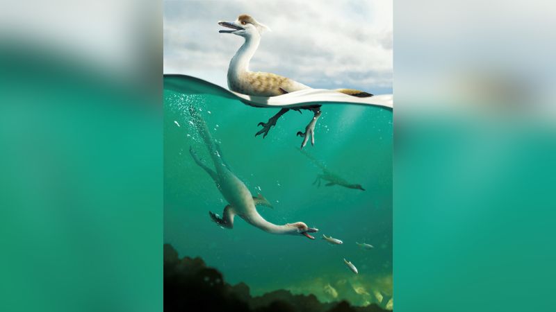 Un nouveau type de dinosaure ressemblant à un pingouin a été découvert Un nouveau type de dinosaure ressemblant à un pingouin a été découvert