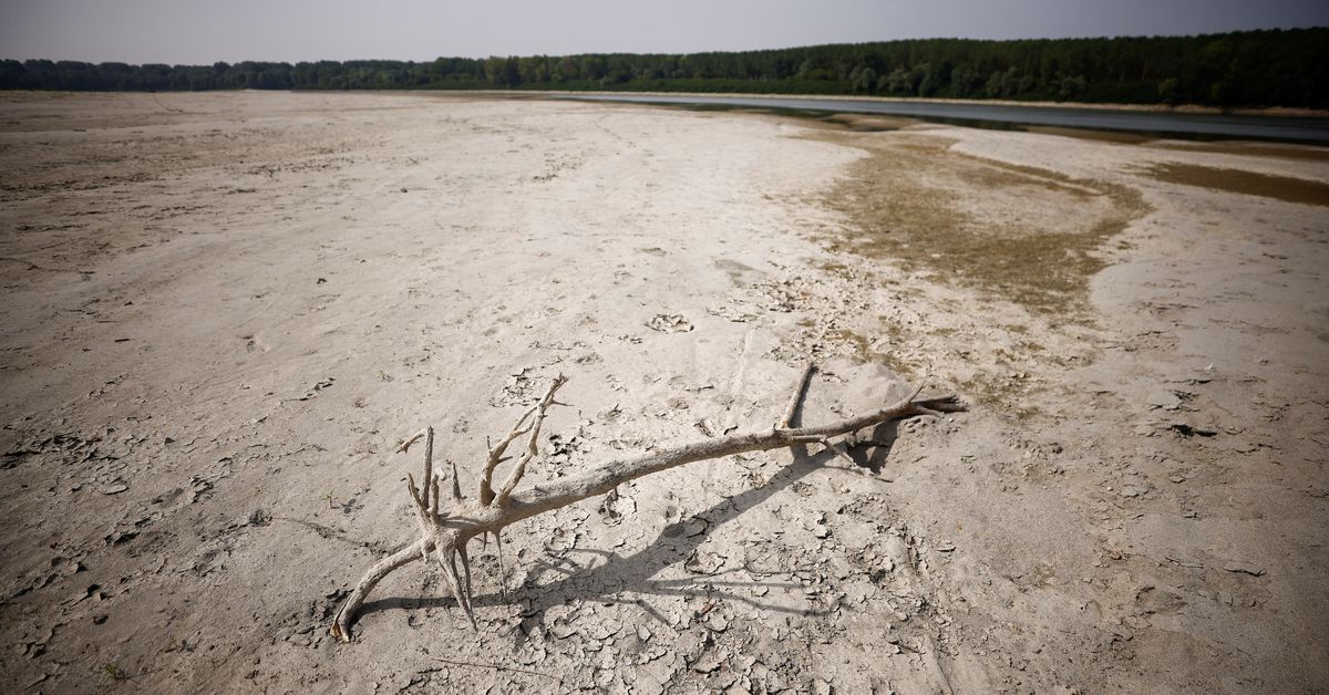 L&rsquo;Italie déclare l&rsquo;état d&rsquo;urgence pour le nord frappé par la sécheresse