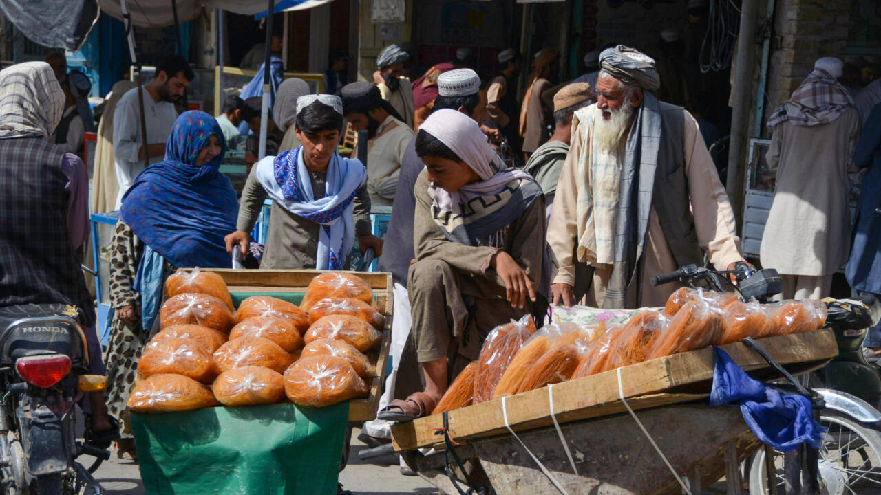 Les économistes exhortent les États-Unis à restituer les avoirs gelés de l’Afghanistan Les économistes exhortent les États-Unis à restituer les avoirs gelés de l’Afghanistan