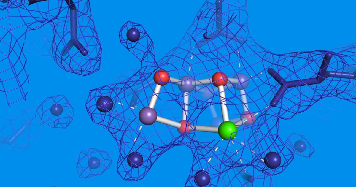 Les scientifiques notent cette étape manquante insaisissable dans l’étape finale de la photosynthèse Les scientifiques notent cette étape manquante insaisissable dans l’étape finale de la photosynthèse
