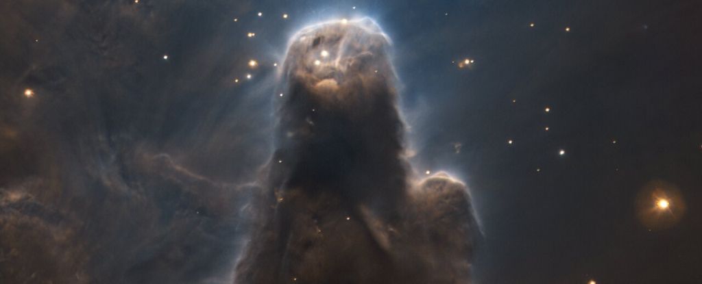 Cette étonnante nébuleuse sombre ressemble à une sentinelle cosmique observant les étoiles : ScienceAlert