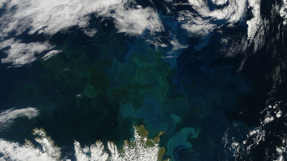 Devenir vert : les océans de la Terre changent en raison du changement climatique Devenir vert : les océans de la Terre changent en raison du changement climatique